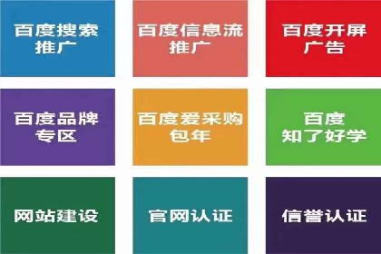 百度SEO推广案例：实战解析与效果展示